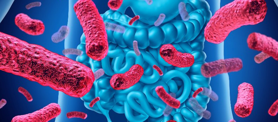 ¿Cómo que los microbios benefician mi salud?
